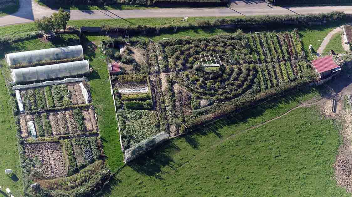 Permaculture Principle of Stacking Functions Explained
