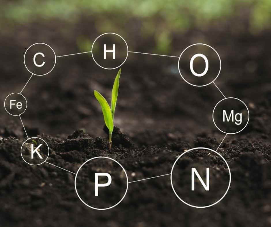 How to Improve Soil Health Naturally Without Chemicals