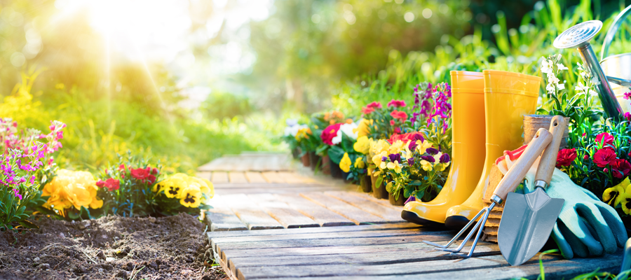 Seasonal Garden Transition Tips for Year-Round Growth