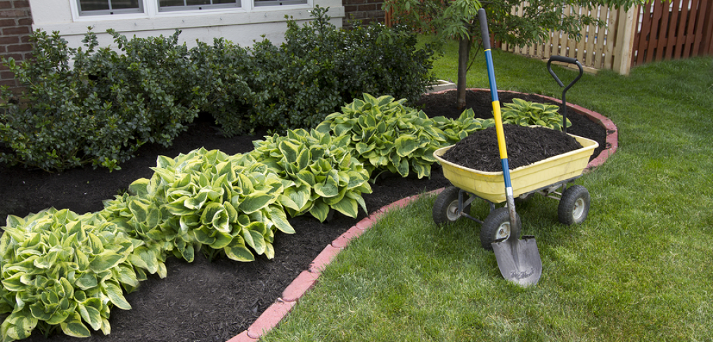 Low Maintenance Gardening Tips for Busy Beginners