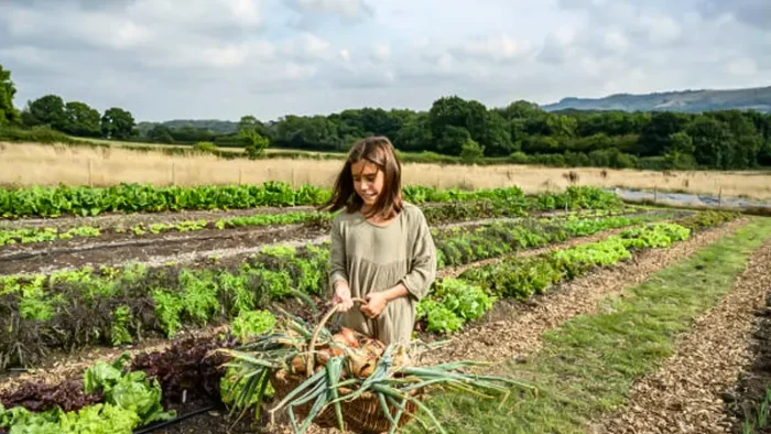 Monthly Planting Guide for Seasonal Gardening Success