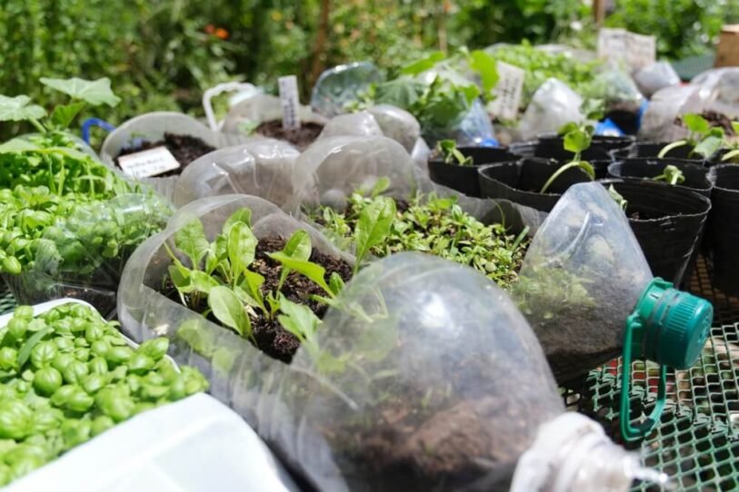 7 Zero-Waste Garden Projects You Can Make in a Weekend