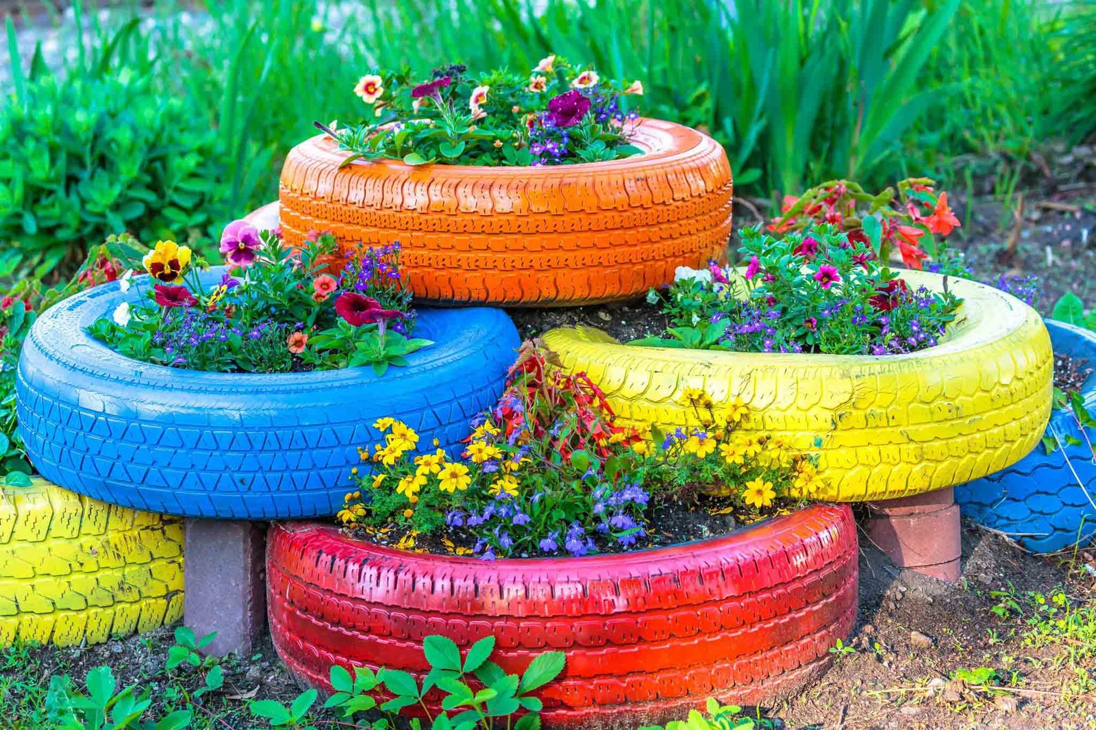 Build a Wildlife-Friendly DIY Garden Using Recycled Materials