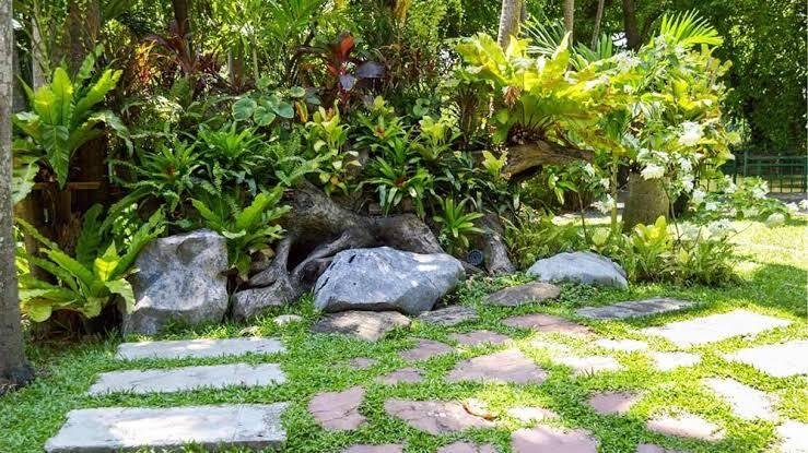 How Small Gardens Can Become Safe Havens for Wildlife